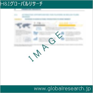 グローバルリサーチ調査レポートのイメージ